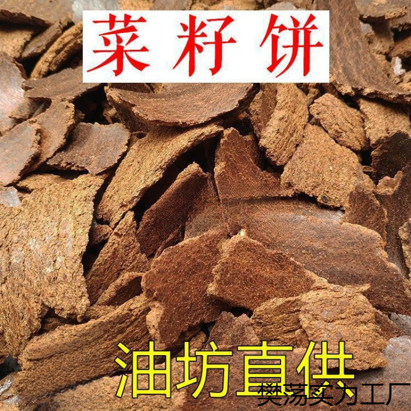 15．同步仪：在网上擅自使用中科院的名称并杜撰我院领导演讲内容